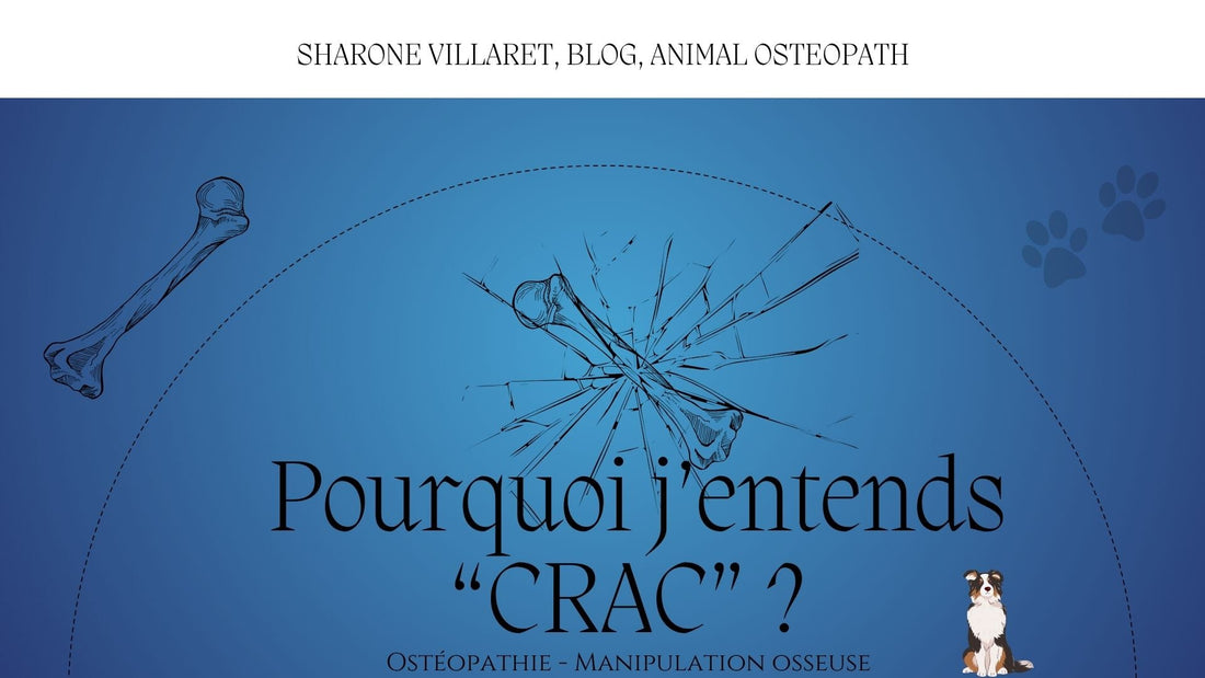 Pourquoi j'entend "CRAC" ? manipulation ostéopathie
