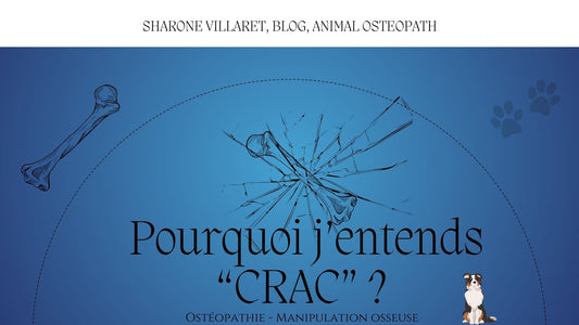Pourquoi j'entend "CRAC" ? manipulation ostéopathie